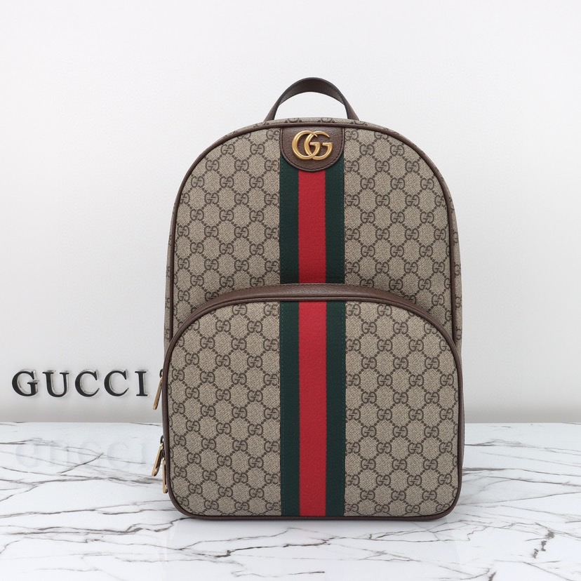 Gvc*1 Ophidia medium backpack