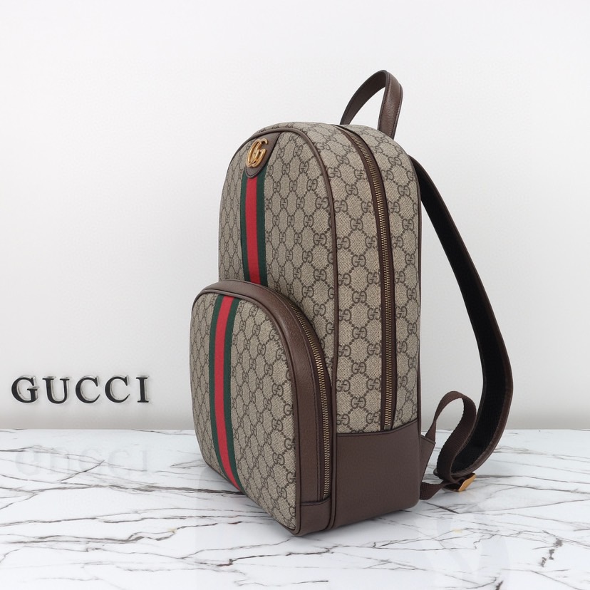 Gvc*1 Ophidia medium backpack