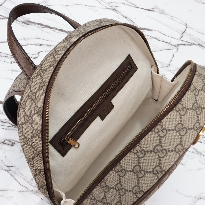 Gvc*1 Ophidia medium backpack