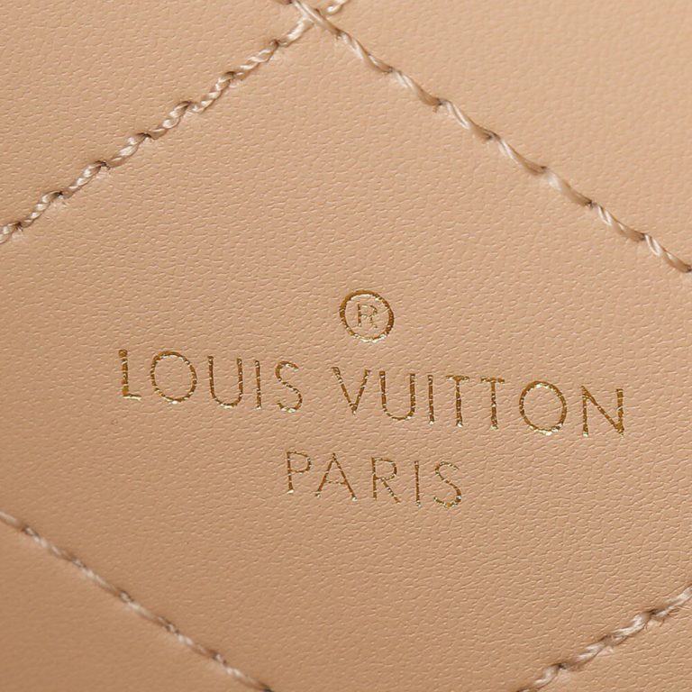 LV Petite Valise