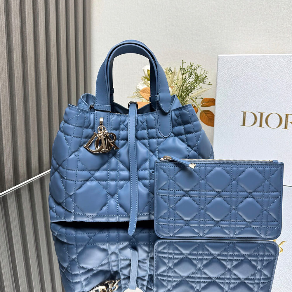 Medium D10r Toujours Bag