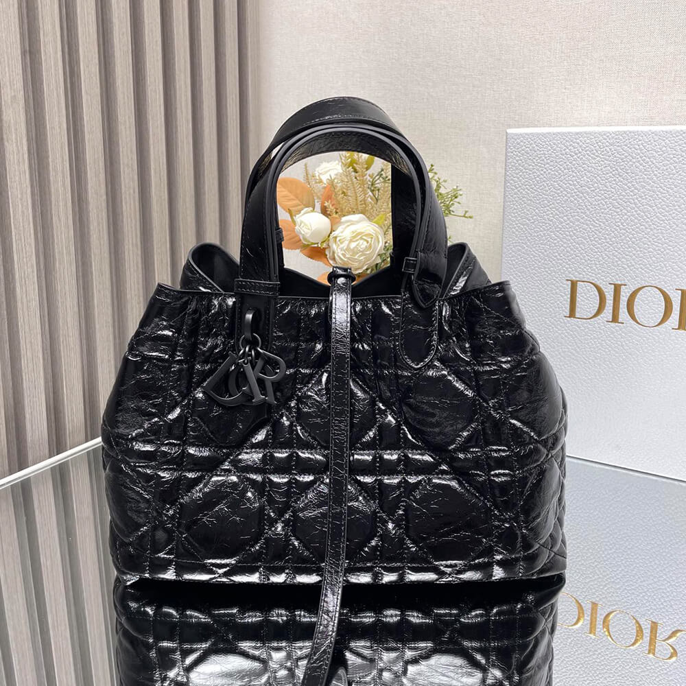 Medium D10r Toujours Bag