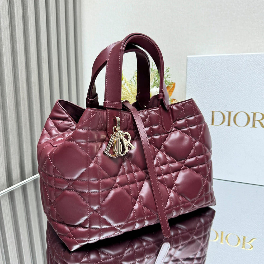 Medium D10r Toujours Bag