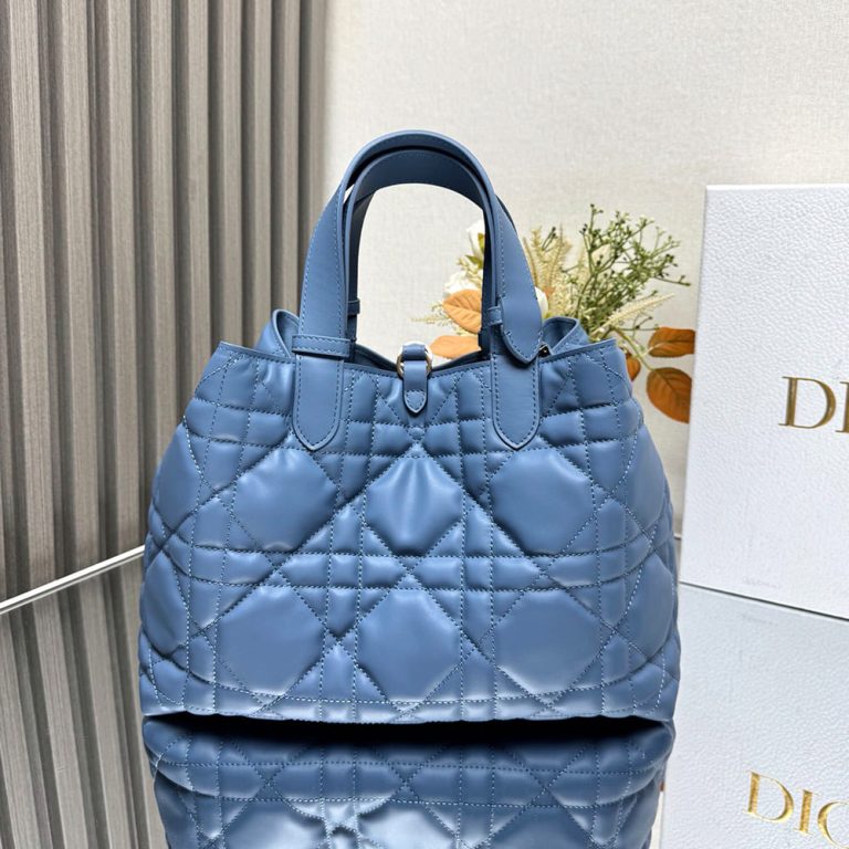 Medium D10r Toujours Bag
