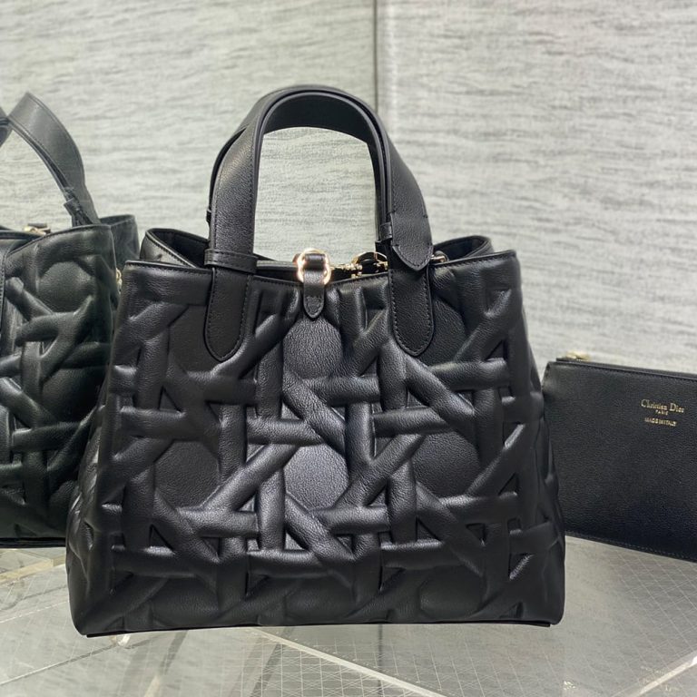 Medium D10r Toujours Bag