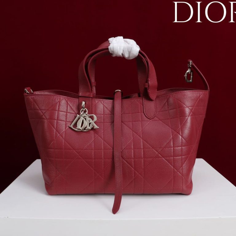 Medium D10r Toujours Bag