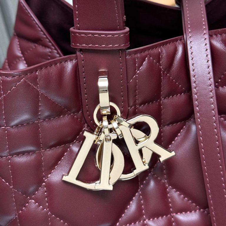 Medium D10r Toujours Bag