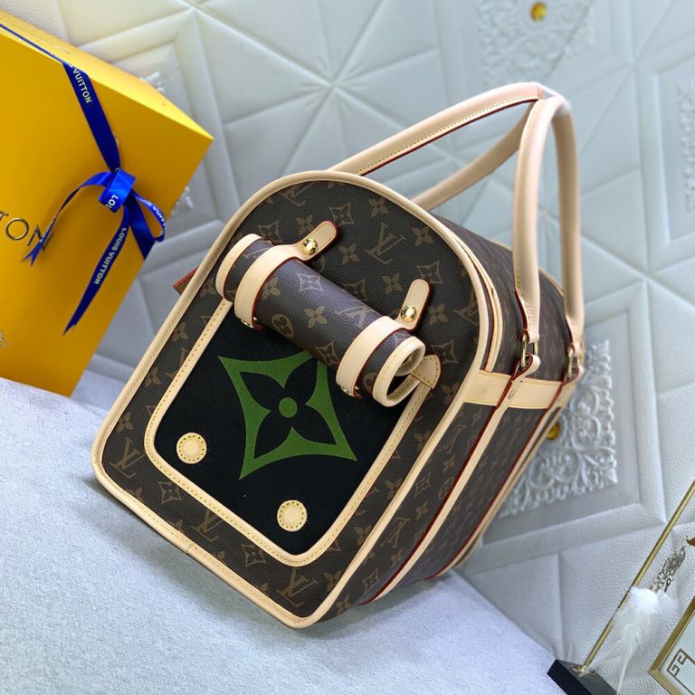 LV Dog Bag
