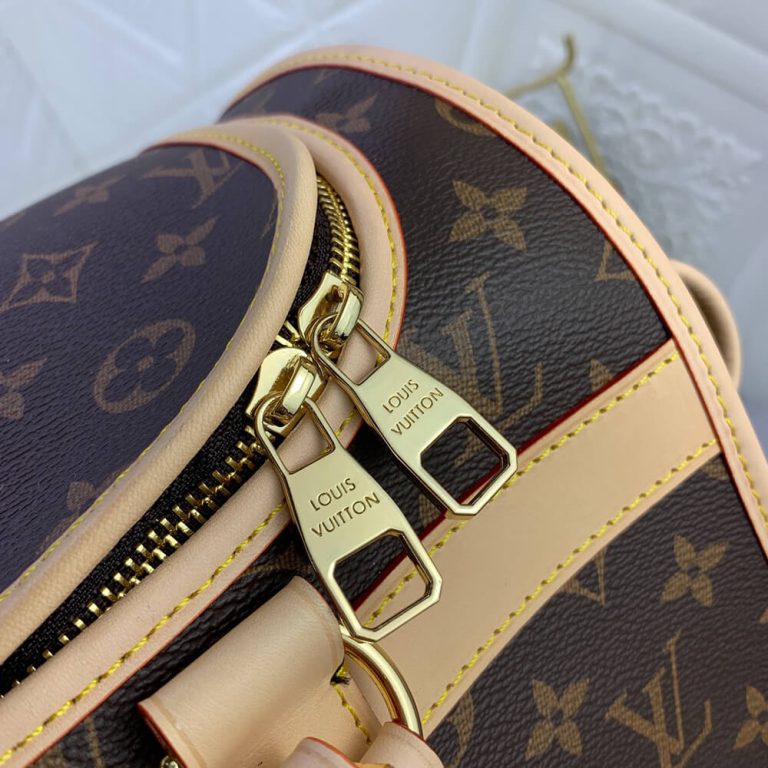 LV Dog Bag