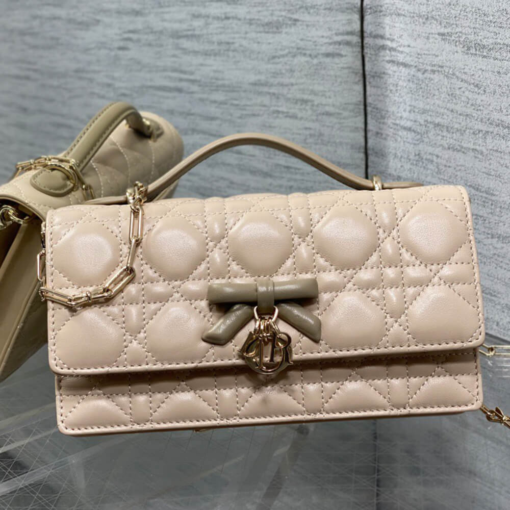 My D10r Mini Bag(HIGH-END GRADE)