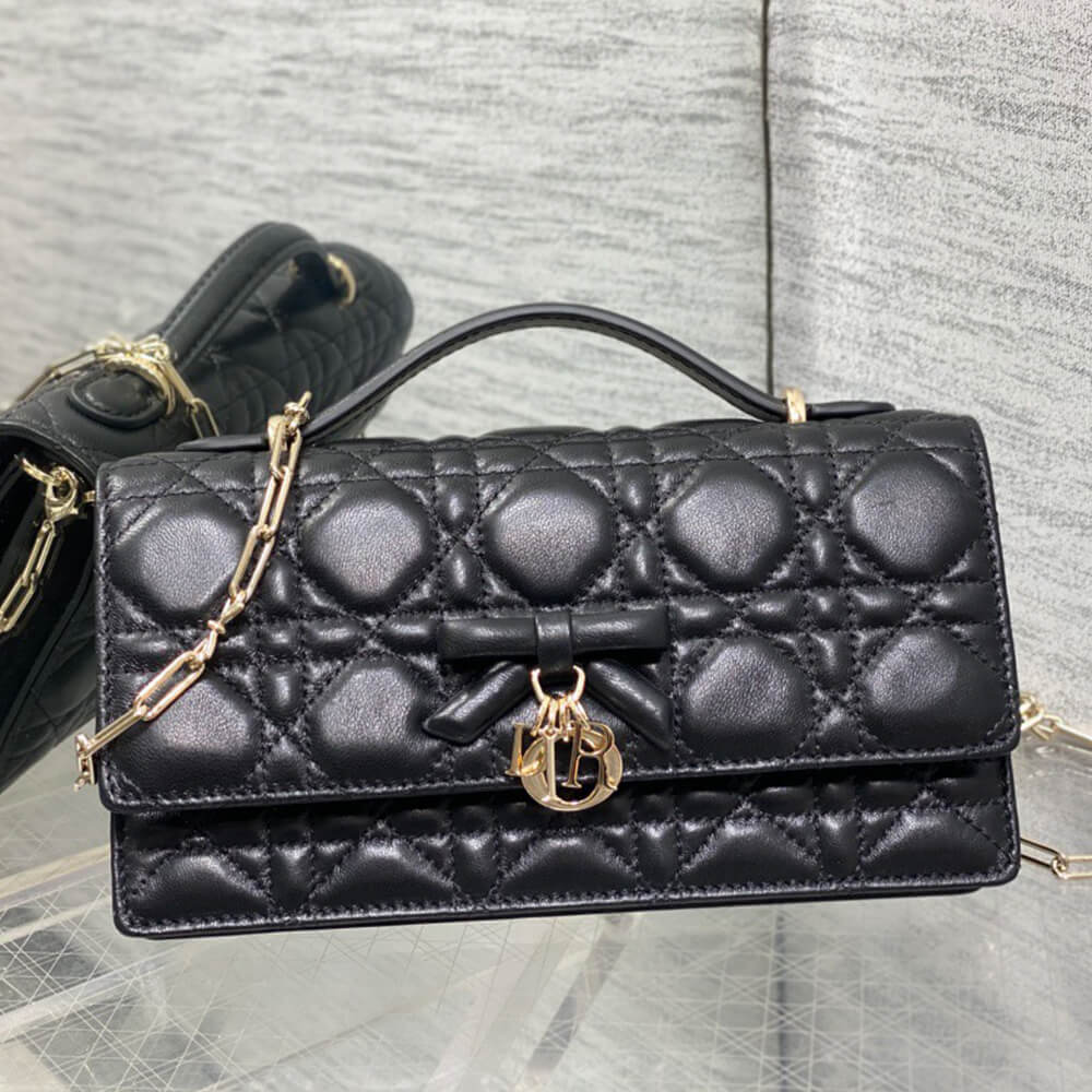My D10r Mini Bag(HIGH-END GRADE)
