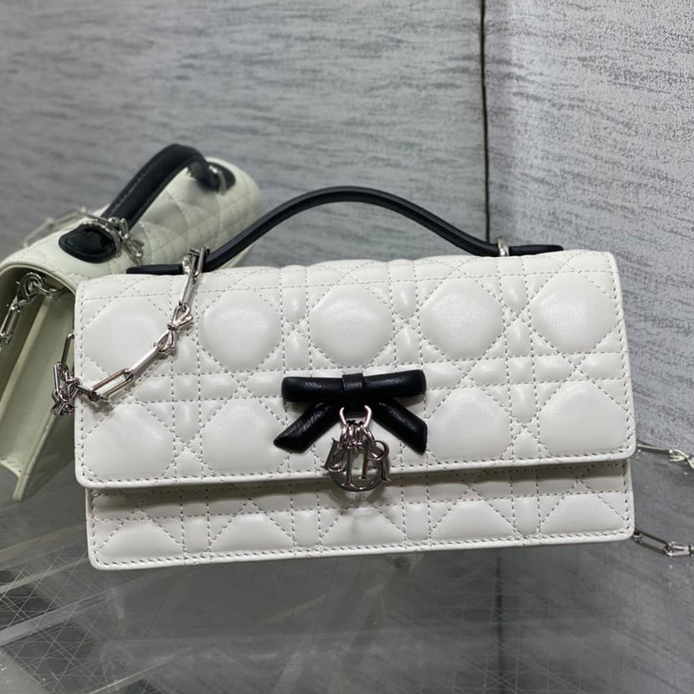 My D10r Mini Bag(HIGH-END GRADE)