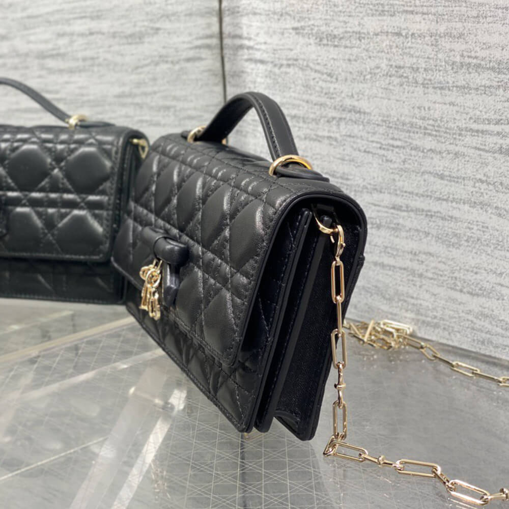 My D10r Mini Bag(HIGH-END GRADE)