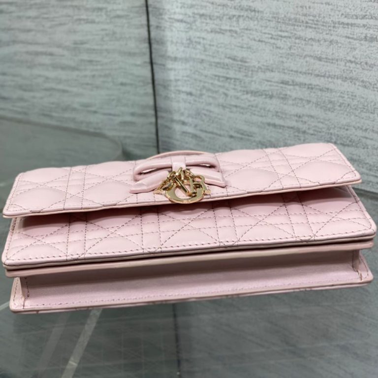 My D10r Mini Bag(HIGH-END GRADE)