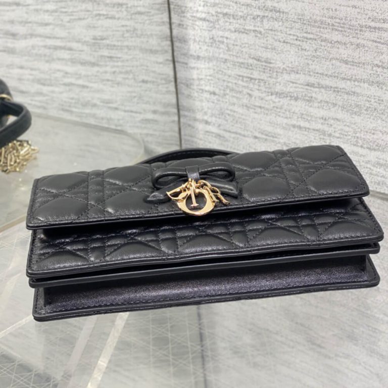 My D10r Mini Bag(HIGH-END GRADE)