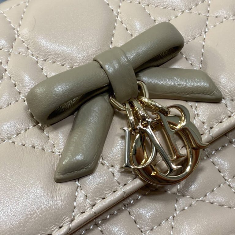 My D10r Mini Bag(HIGH-END GRADE)